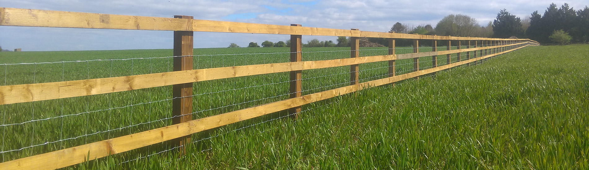 Fencing
